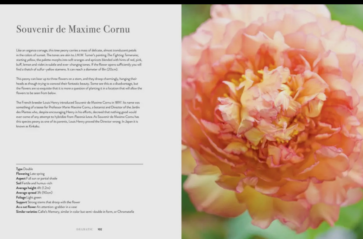 Peonies book