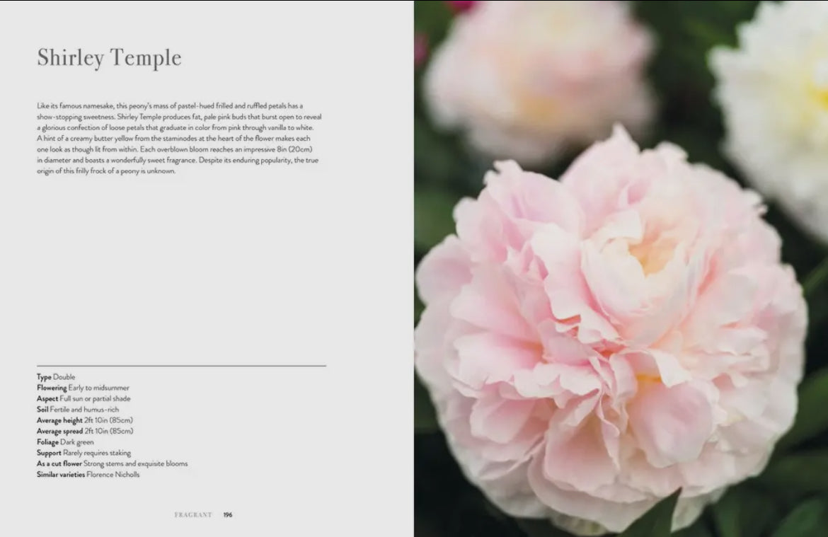 Peonies book